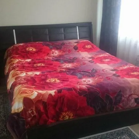 Homestay Vila Nature - Rosia Montana